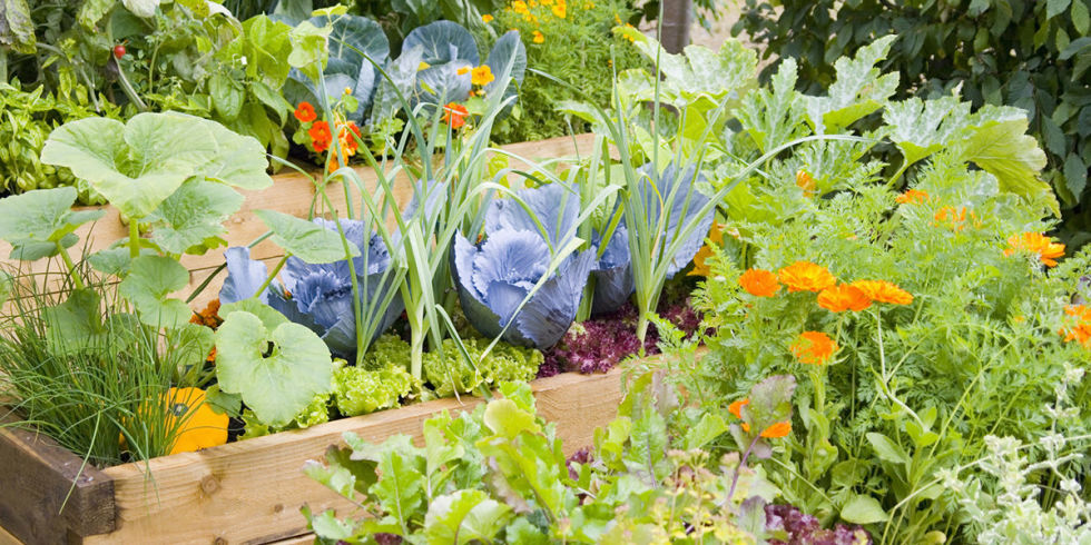 Five-elements-should-be-balanced-in-garden