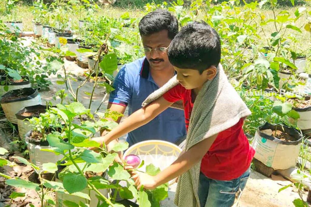 well-tended-garden-gives-regular-yield